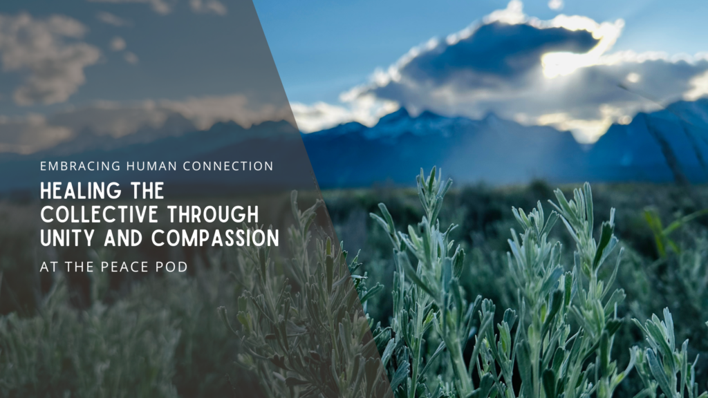 Healing the Collective through Unity and Compassion